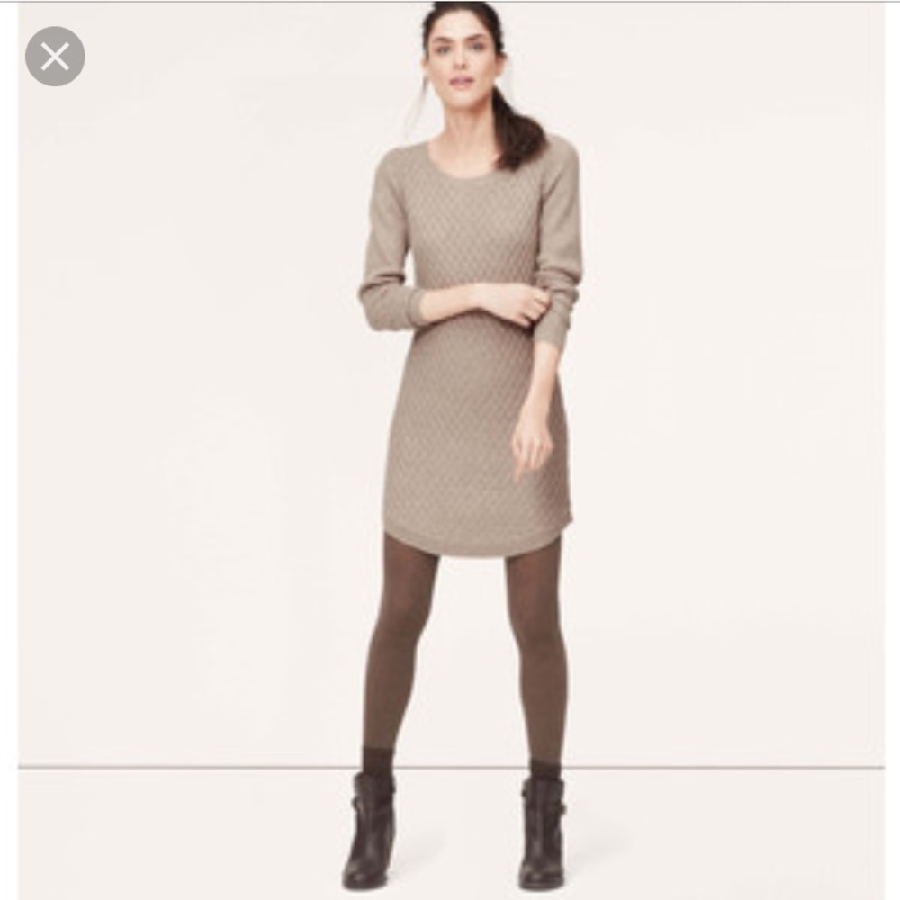 Loft sweater dress